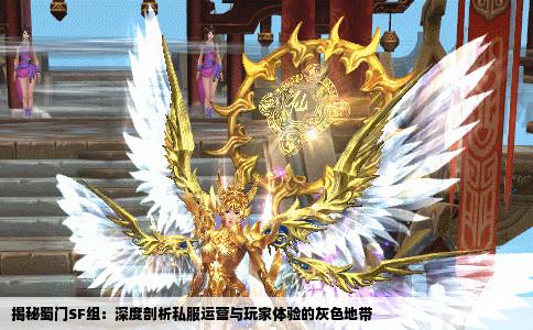 揭秘蜀门SF组：深度剖析私服运营与玩家体验的灰色地带