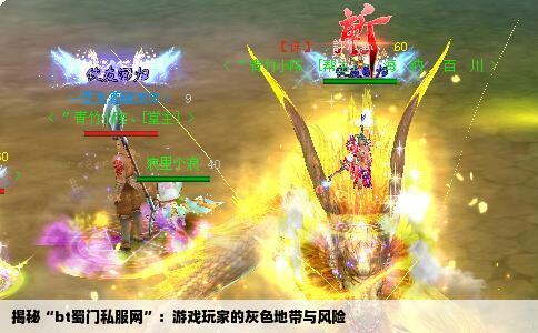 揭秘“bt蜀门私服网”：游戏玩家的灰色地带与风险