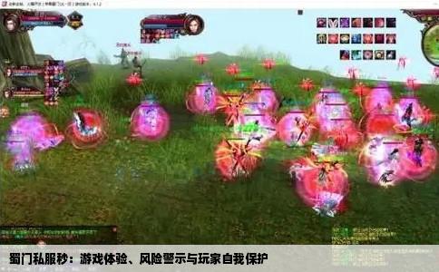 蜀门私服秒：游戏体验、风险警示与玩家自我保护